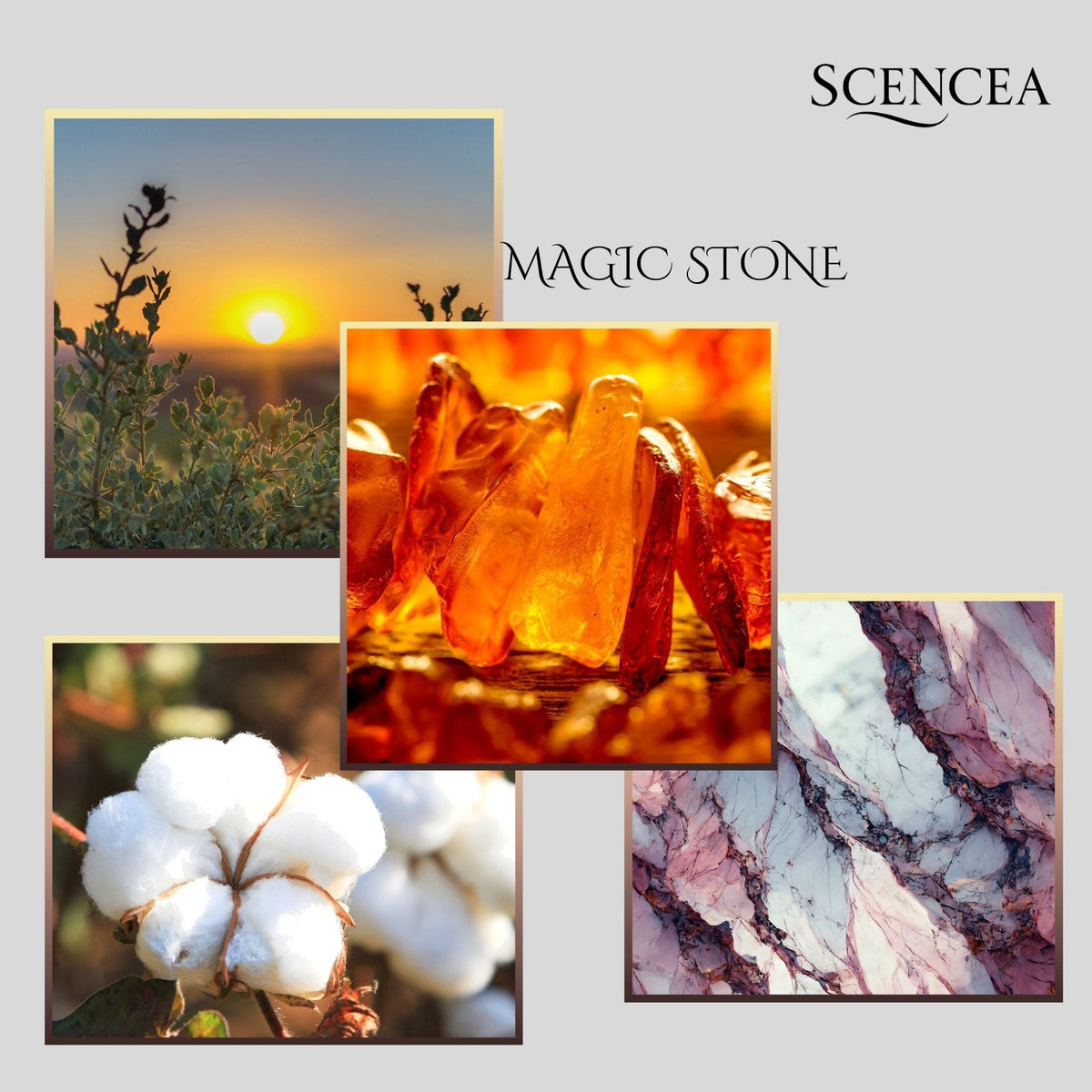 Magic Stone (Aanrader!)
