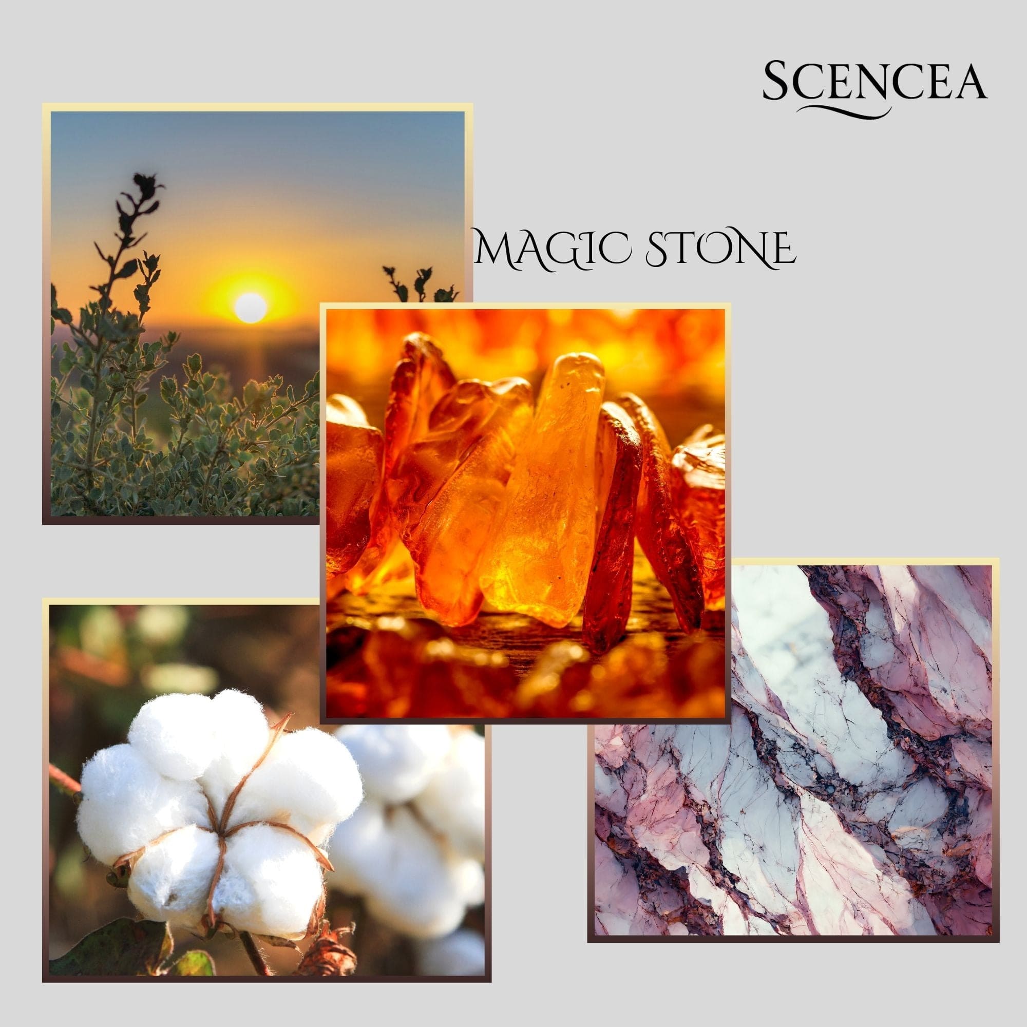 Magic Stone (Aanrader!)