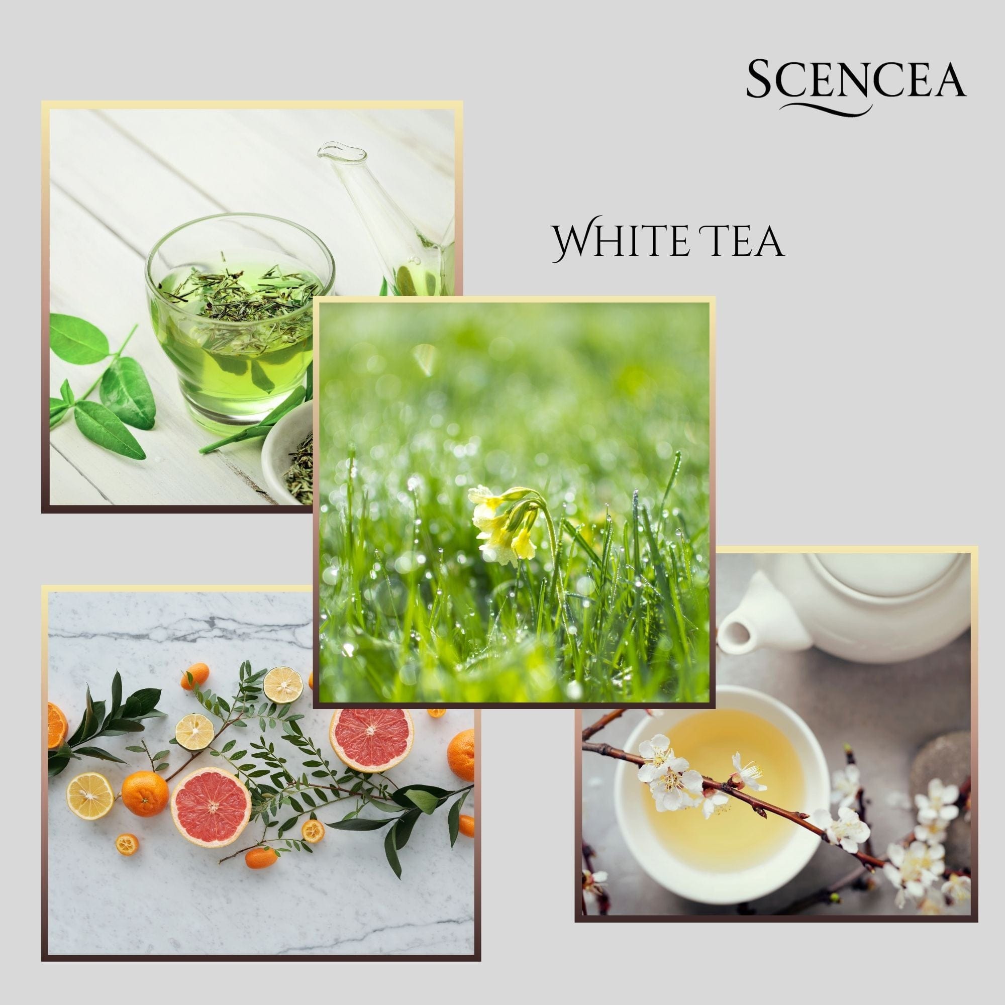 White Tea