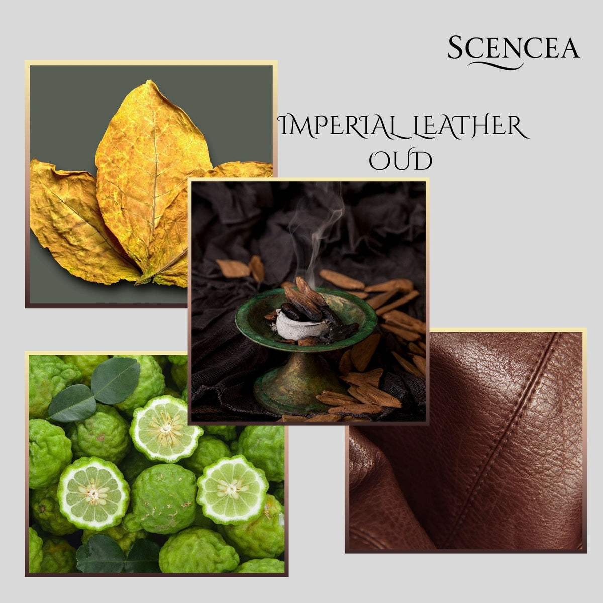 Imperial Leather Oud
