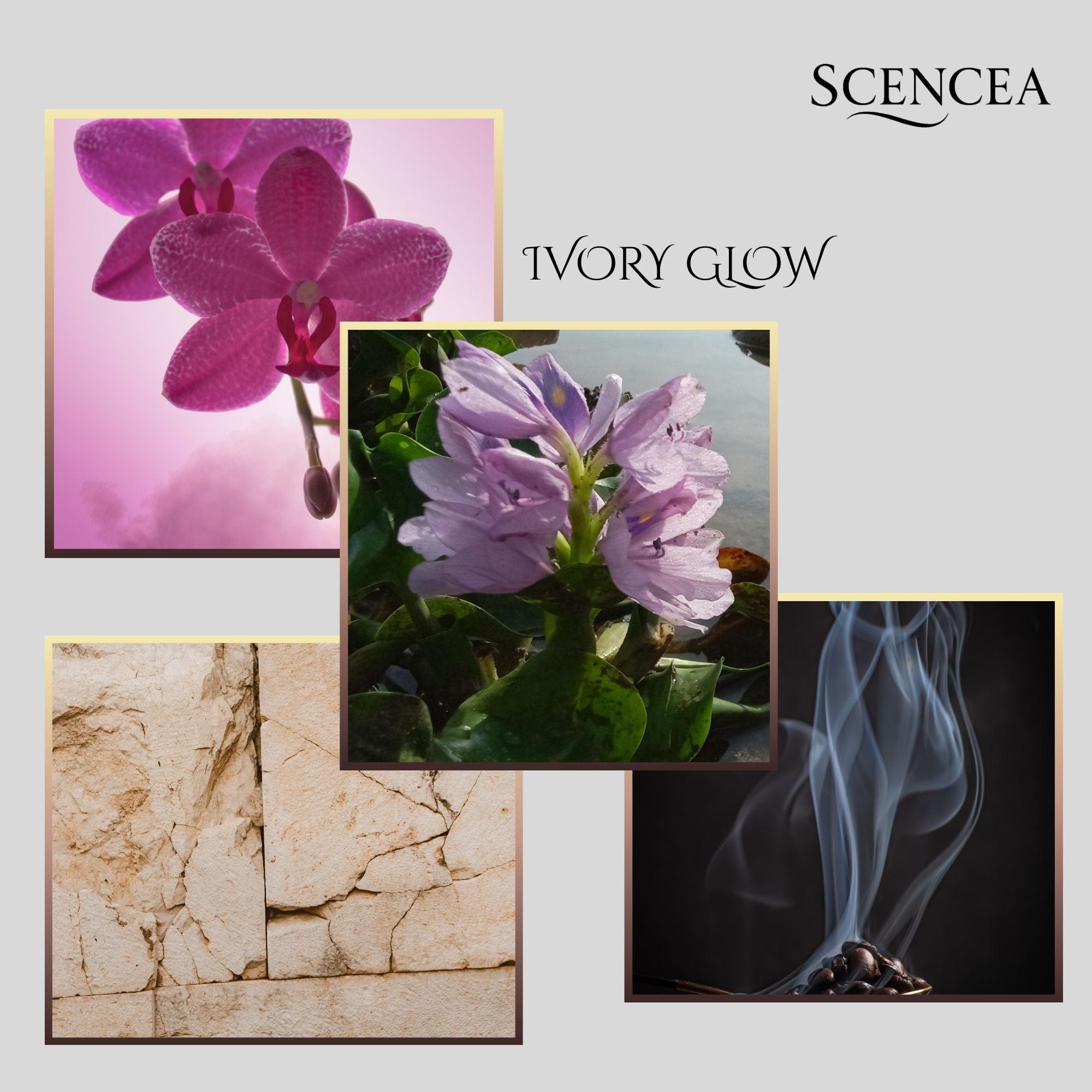 Ivory Glow, Een geur die rust brengt