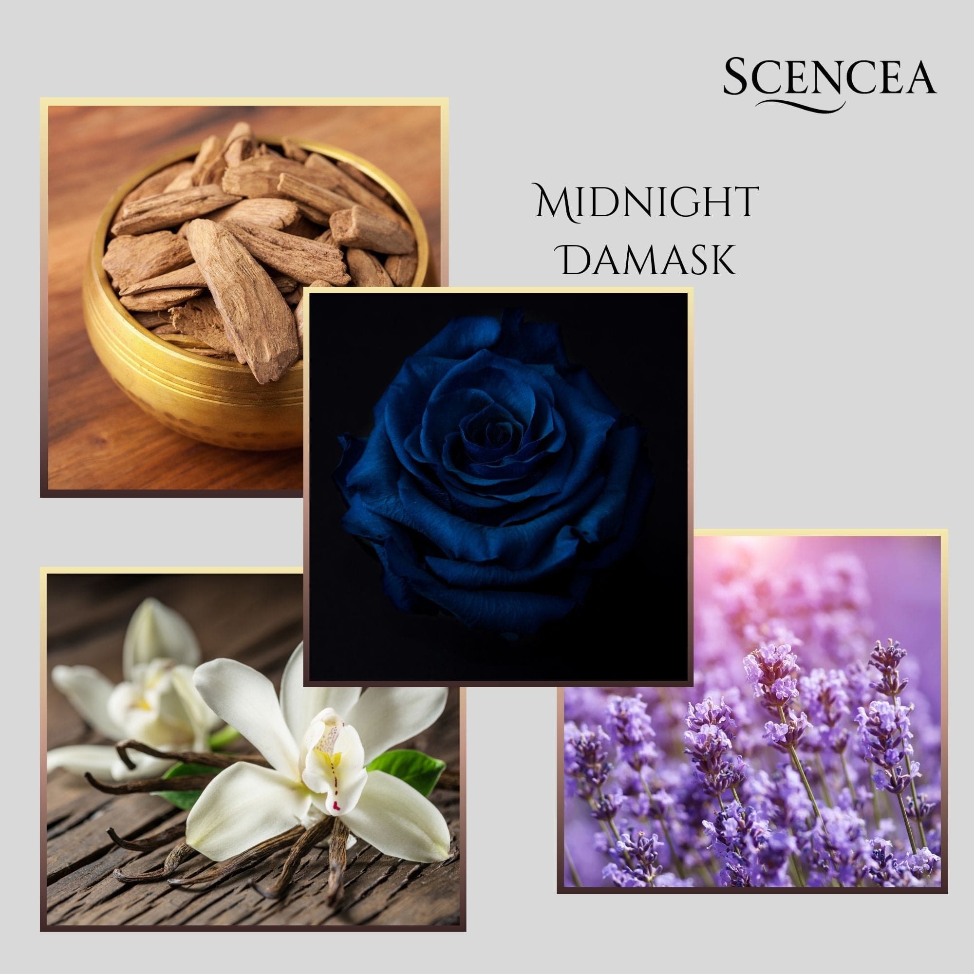 Midnight Damask